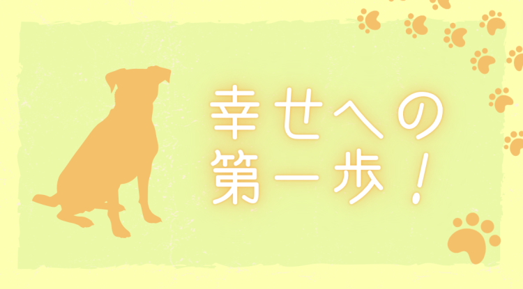 カワイイがいっぱい！ワンダーランド